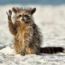 logan (Férfi) - HeavenFace online, magyar, chat, csevegés, ismerkedés, társkeresés