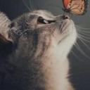 Anni (Nő) - HeavenFace online, magyar, chat, csevegés, ismerkedés, társkeresés