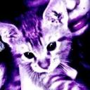 v1x4yl4 (Nő) - HeavenFace online, magyar, chat, csevegés, ismerkedés, társkeresés