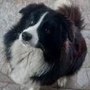 Tomi1994 (Férfi) - HeavenFace online, magyar, chat, csevegés, ismerkedés, társkeresés