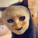 Tibrub (Férfi) - HeavenFace online, magyar, chat, csevegés, ismerkedés, társkeresés