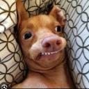 FullMoon (Nő) - HeavenFace online, magyar, chat, csevegés, ismerkedés, társkeresés