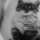 Women (Nő) - HeavenFace online, magyar, chat, csevegés, ismerkedés, társkeresés