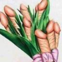 Kalandor (Férfi) - HeavenFace online, magyar, chat, csevegés, ismerkedés, társkeresés