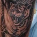 Pumi (Férfi) - HeavenFace online, magyar, chat, csevegés, ismerkedés, társkeresés