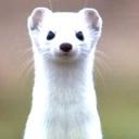 W4R10CK (Férfi) - HeavenFace online, magyar, chat, csevegés, ismerkedés, társkeresés