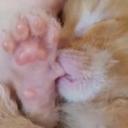 Winyam (Nő) - HeavenFace online, magyar, chat, csevegés, ismerkedés, társkeresés