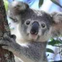 Habibb1983 (Férfi) - HeavenFace online, magyar, chat, csevegés, ismerkedés, társkeresés