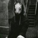 majom (Férfi) - HeavenFace online, magyar, chat, csevegés, ismerkedés, társkeresés