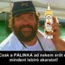 Gabesz47 (Férfi) - HeavenFace online, magyar, chat, csevegés, ismerkedés, társkeresés