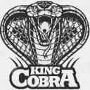 Cobra (Férfi) - HeavenFace online, magyar, chat, csevegés, ismerkedés, társkeresés