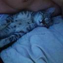 Bonzso (Male) - HeavenFace online, magyar, chat, csevegés, ismerkedés, társkeresés