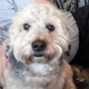 Manuela (Nő) - HeavenFace online, magyar, chat, csevegés, ismerkedés, társkeresés