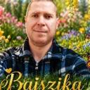 Bazsi (Férfi) - HeavenFace online, magyar, chat, csevegés, ismerkedés, társkeresés