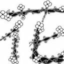 Iwanugahana (Nő) - HeavenFace online, magyar, chat, csevegés, ismerkedés, társkeresés